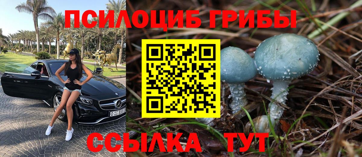 Южноуральск  Псилоцибиновые грибы Psilocybine cubensis  Вход с VPN 