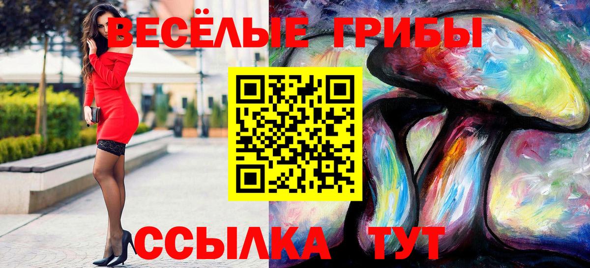 Псилоцибиновые грибы Psilocybine cubensis Южноуральск